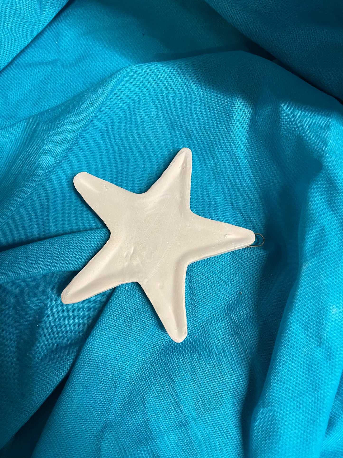 Star Fish Ceramic Bisque