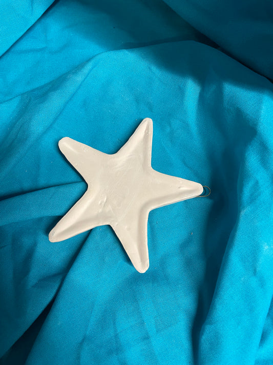 Star Fish Ceramic Bisque